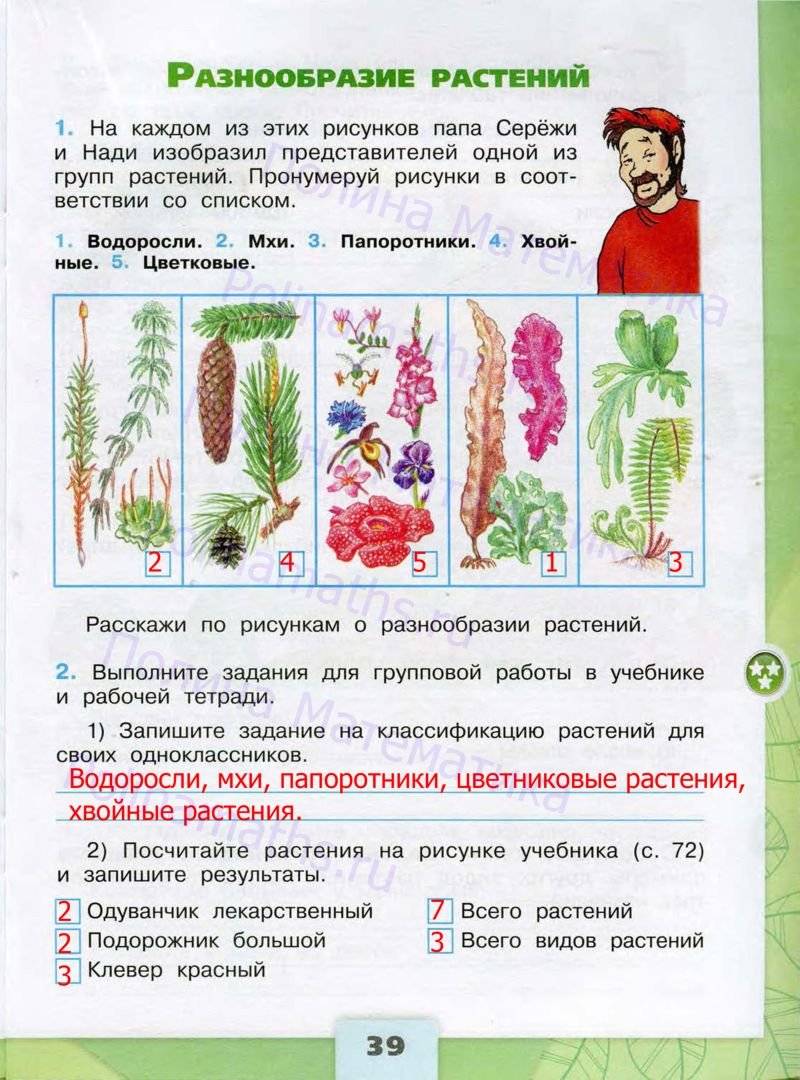 Поиск учебника по картинке