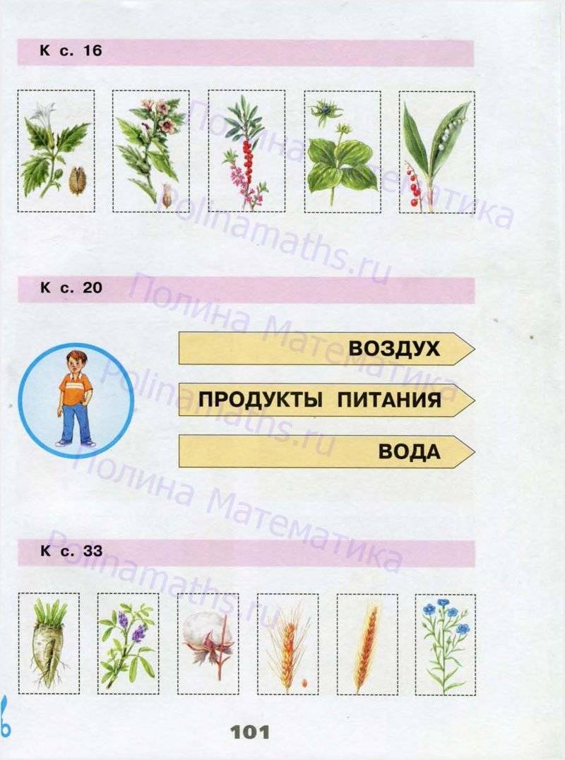 Рабочая тетрадь окружающий мир 4 класс фгос