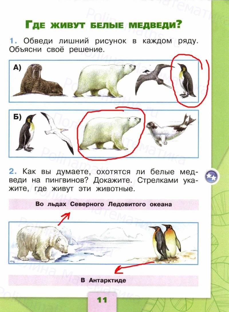 Охотятся ли медведи на пингвинов окружающий мир. Программа по окружающему миру 1 класс школа России. Обведи лишний рисунок. Программа окружающий мир 1 класс. Где живут белые медведи обведи лишний рисунок.
