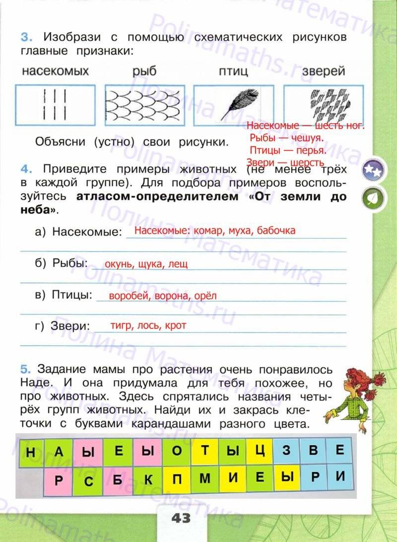 Окружающий мир 2 класс 42 43. Решение задач рабочая тетрадь Плешаков окружающий мир. Рабочая тетрадь по окружающему миру 2 класс школа России. Окружающий мир 2 класс рабочая тетрадь страница 43. Окружающий мир рабочая тетрадь страница 43 задание номер 1.