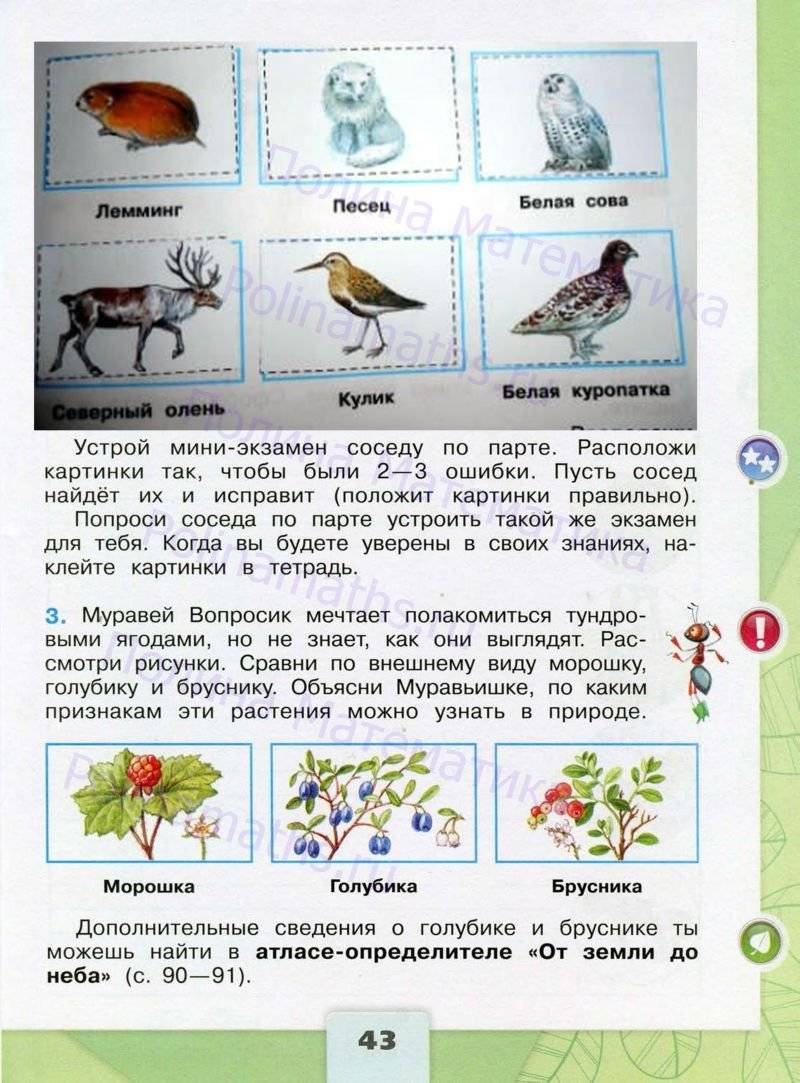 Окружающий мир 4 класс плешаков фгос. Окружающий мир 4 класс рабочая тетрадь Плешаков по ФГОС. Окружающий мир 4 класс рабочая тетрадь Плешаков Крючкова. Тетрадь окружающий мир для 1 класса школа России ФГОС. Школа России окружающий мир рабочая.