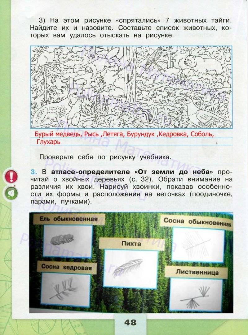 Рабочая тетрадь окружающий мир 4 класс ответы