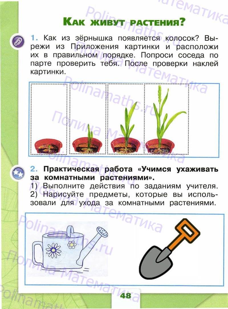 Рабочая тетрадь окружающий мир первый класс плешаков. Приложение к рабочей тетради по окружающему. Рабочая тетрадь по окружающему миру 1 класс приложение. Окружающий мир 2 класс рабочая тетрадь 1 часть приложение. Рабочая тетрадь по окружающему миру 1 класс 2 часть стр 22.