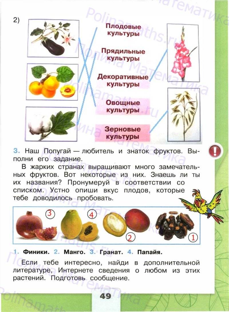 Окружающий мир рабочая тетрадь плешаков номер. Дикорастущие кустарники 2 класс окружающий мир рабочая тетрадь. Культурные растения 2 класс окружающий мир рабочая тетрадь. Сорта культурных растений 2 класс окружающий мир рабочая тетрадь. Дикорастущие растения 2 класс окружающий мир рабочая тетрадь.