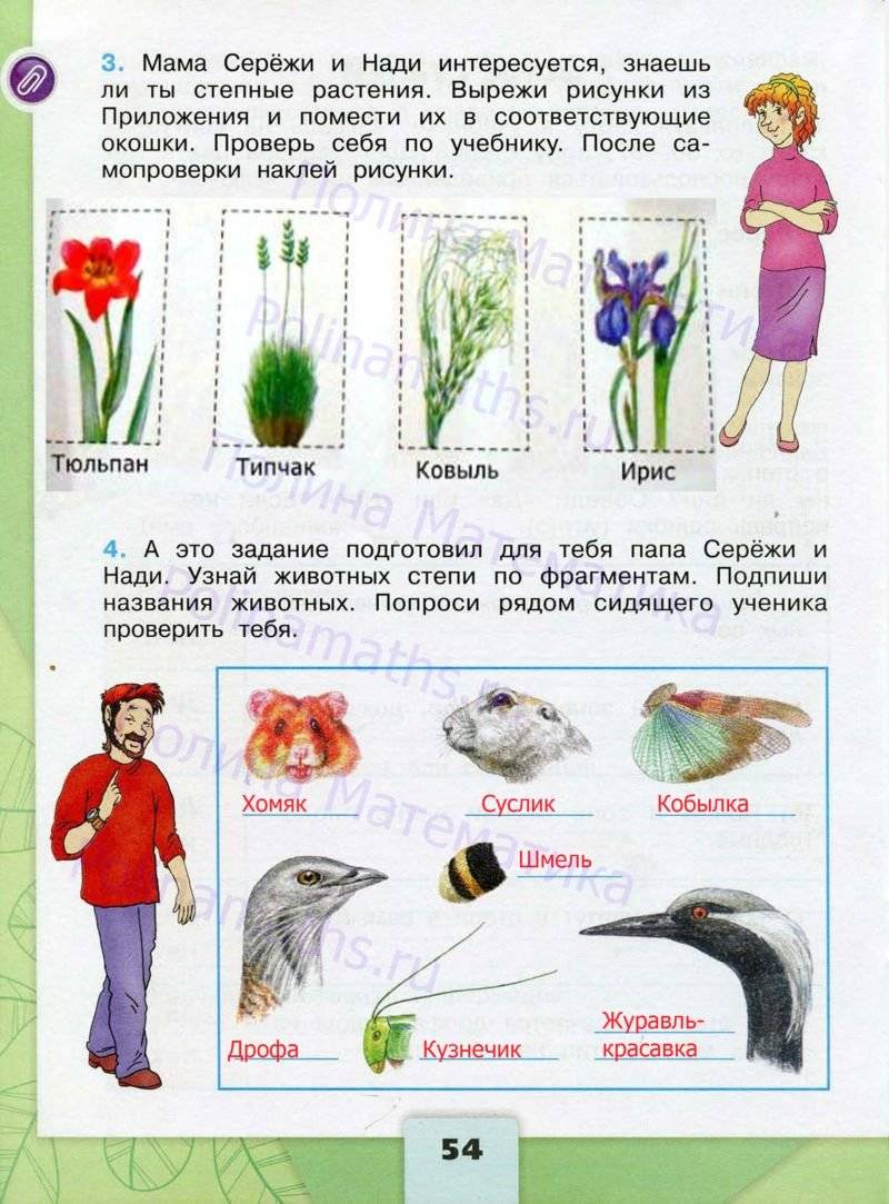 Тетрадь по окружающему миру 4 класс плешаков. Рабочая тетрадь по окружающему миру 1 класс школа России. Окружающий мир 1 класс школа России ФГОС. Окружающий мир 1 класс рабочая тетрадь Плешаков. Ответы по окружающему миру 4 класс рабочая тетрадь 1 часть Плешаков.