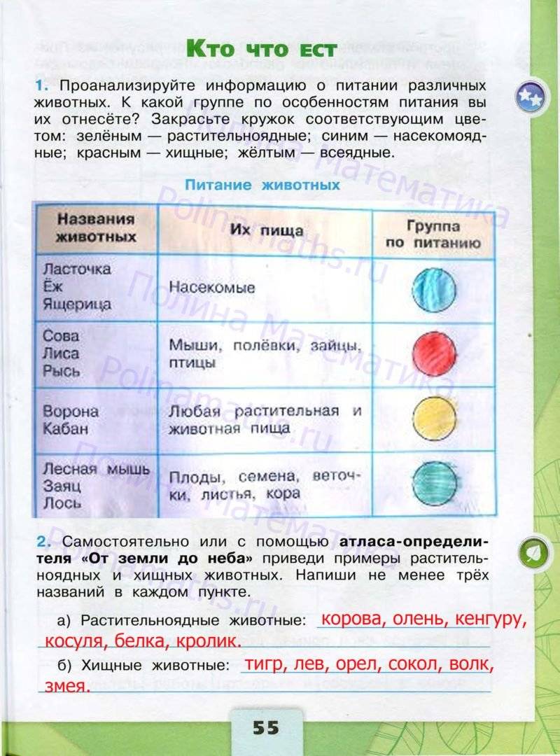 Ответы рабочая тетрадь окружающий мир 3 класс. Окружающий мир 3 класс рабочая тетрадь стр 27-28. Окружающий мир 3 класс рабочая тетрадь Плешаков. Окружающий мир 3 класс рабочая тетрадь страница 46. Окружающий мир 3 класс страница 46 задание 1.