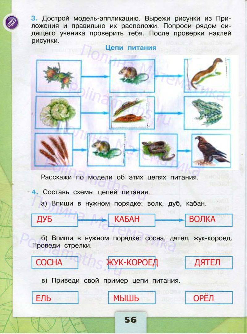 Окружающий мир 3 класс упражнение 4. Окружающий мир 3 класс рабочая тетрадь 1 часть страница 56 Плешаков. Рабочая тетрадь по окружающему миру 3 класс 1 часть Плешаков по ФГОС. Окружающий мир 3 класс рабочая тетрадь Плешаков стр 56. Рабочая тетрадь по окружающему миру 3 класс Плешаков ФГОС часть 1.