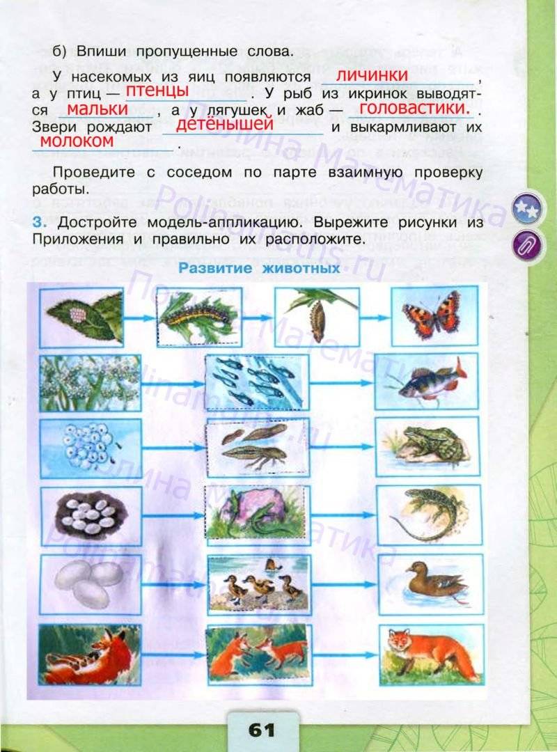 Окружающий мир страница 61. Рабочая тетрадь по окружающему миру 3 класс школа России. Тетрадь окружающий мир 3 класс школа России. Окружающий мир школа Росси 3 класс. Окружающий мир 3 класс рабочая тетрадь школа России.