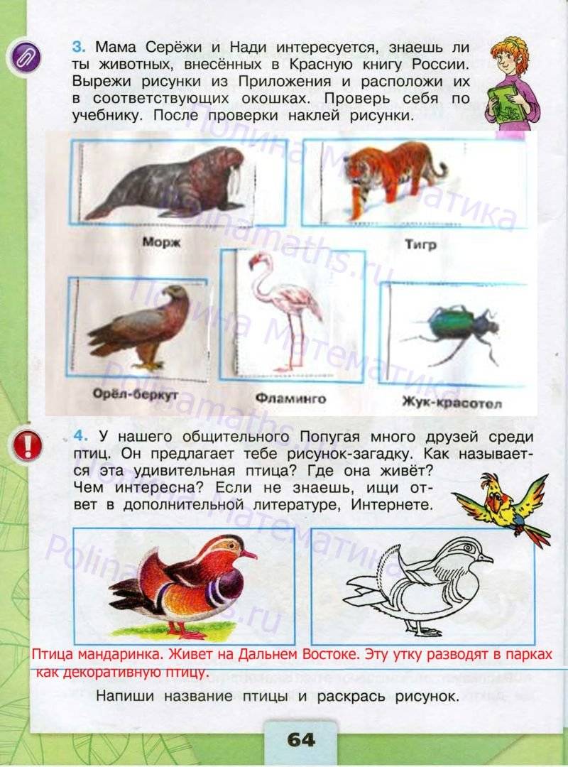 Окружающий мир 3 класс страница 64. Окружающий мир 3 класс рабочая тетрадь 1 часть школа России ФГОС. Тетрадь окружающий мир 3 класс школа России. Окружающий мир рабочая тетрадь 1 класс ФГОС школа России Плешаков. Окружающий мир школа Росси 3 класс.
