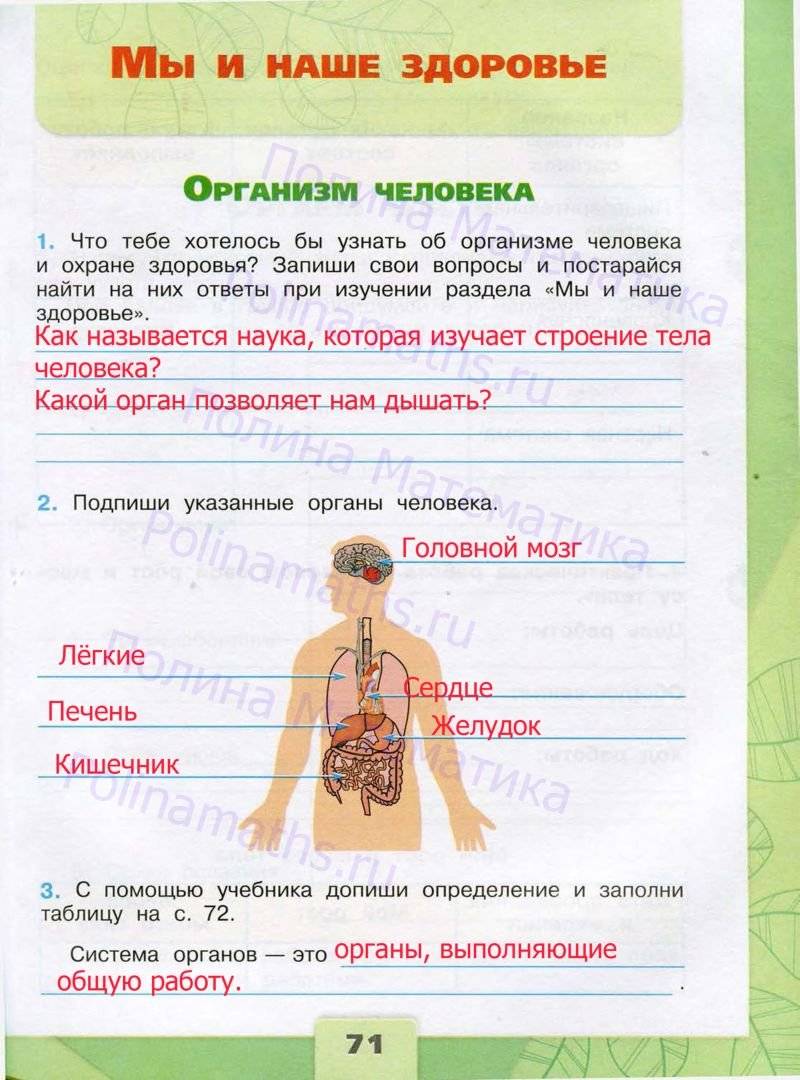 Окружающий мир тетрадь стр 71. Рабочая тетрадь по окружающему миру 3 класс. Тема человек рабочая тетрадь по окружающему миру 3 класс. Рабочая тетрадь по окружающему миру 3 класс школа России. Рабочая тетрадь по окружающему миру 3 класс план местности.