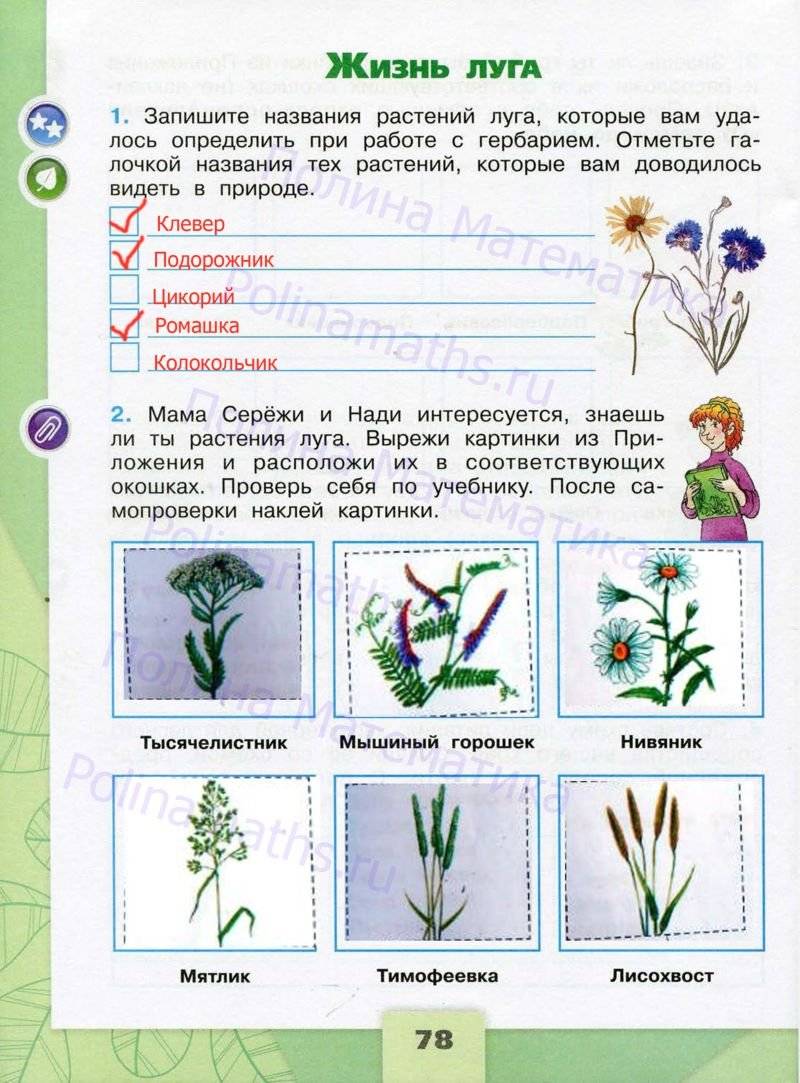 Рабочая тетрадь окружающий мир 4 класс фгос. Окружающий мир 4 класс рабочая тетрадь Плешаков. Рабочая тетрадь по окружающему миру 1 школа России. Окружающий мир 4 класс Плешаков школа России. Тетрадь окружающий мир для 1 класса школа России ФГОС.