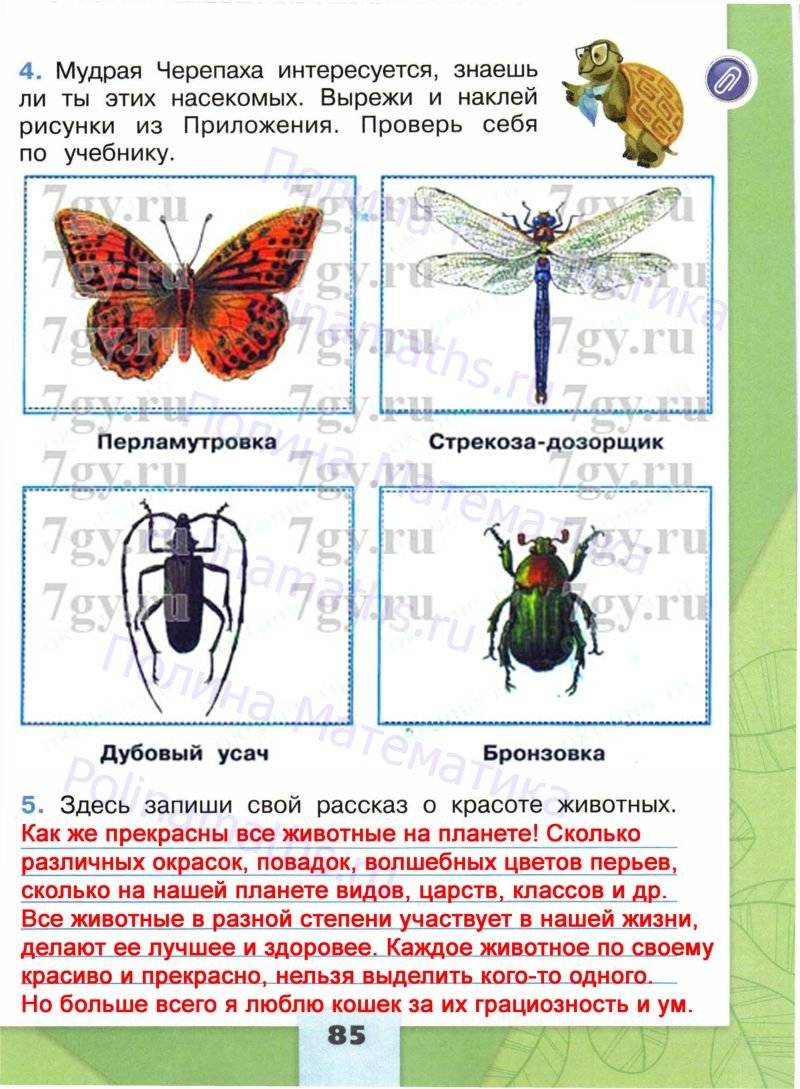 Проект впереди лето