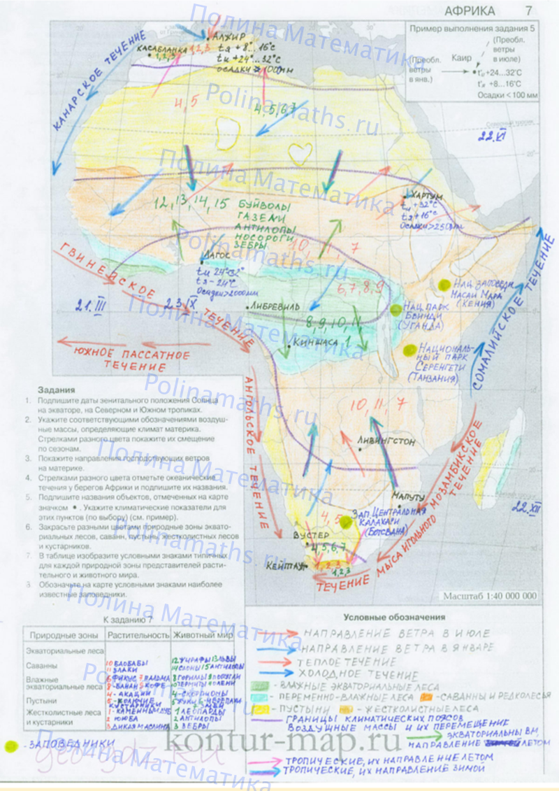 Контурная карта 7 класс география душина стр 7