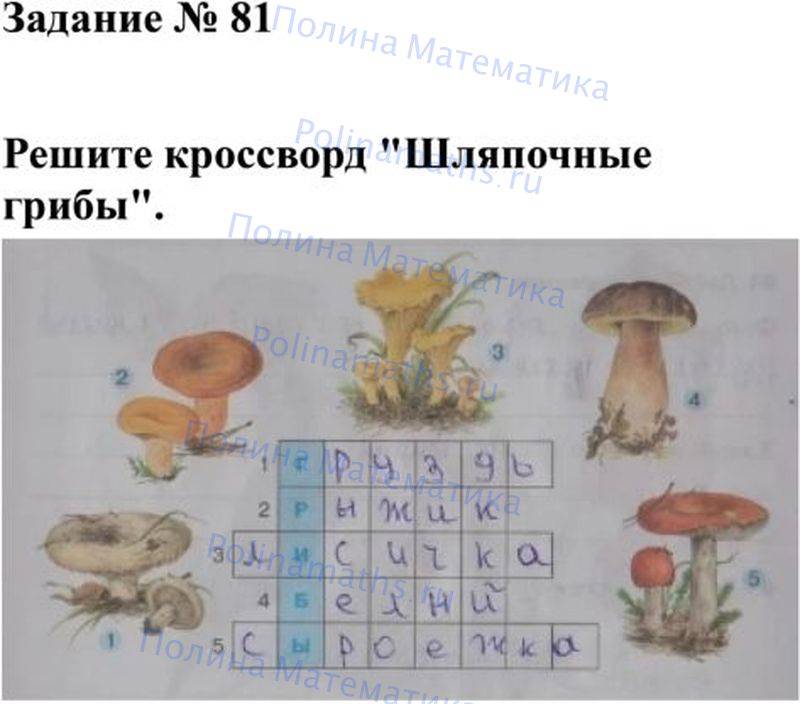 Тест по окружающему грибы. Кроссворд Шляпочные грибы. Решите кроссворд Шляпочные грибы биология 5 класс. Решите кроссворд Шляпочные грибы. Кроссворд грибы 3 класс с ответами.